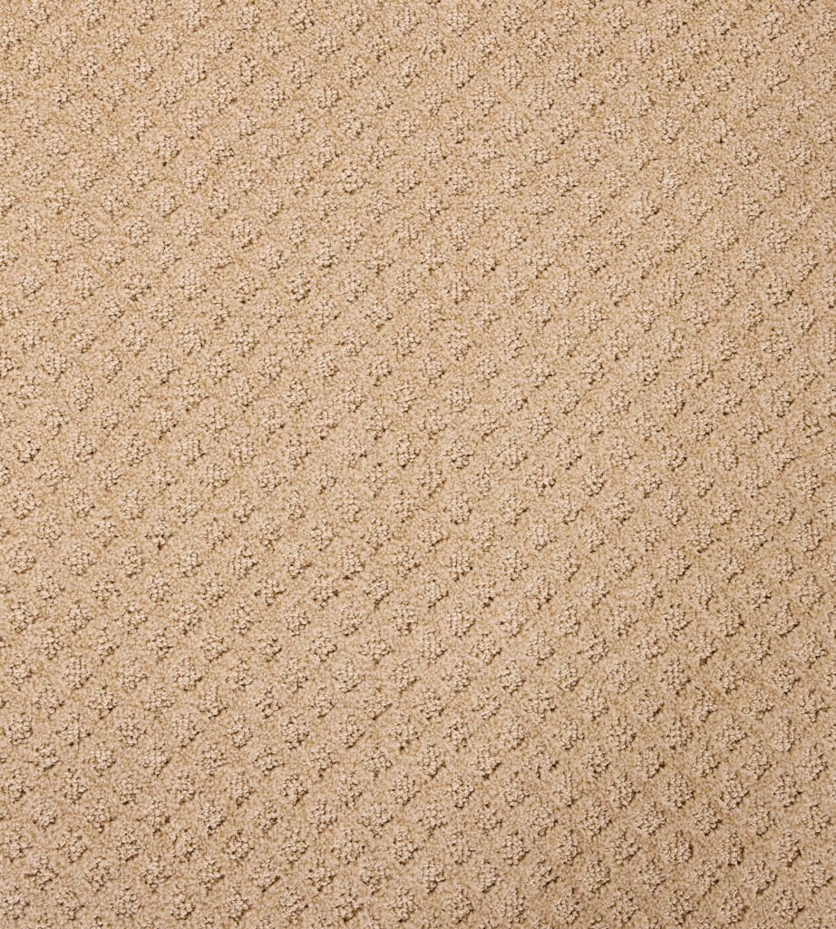 Bayside Charm (Set of 14)