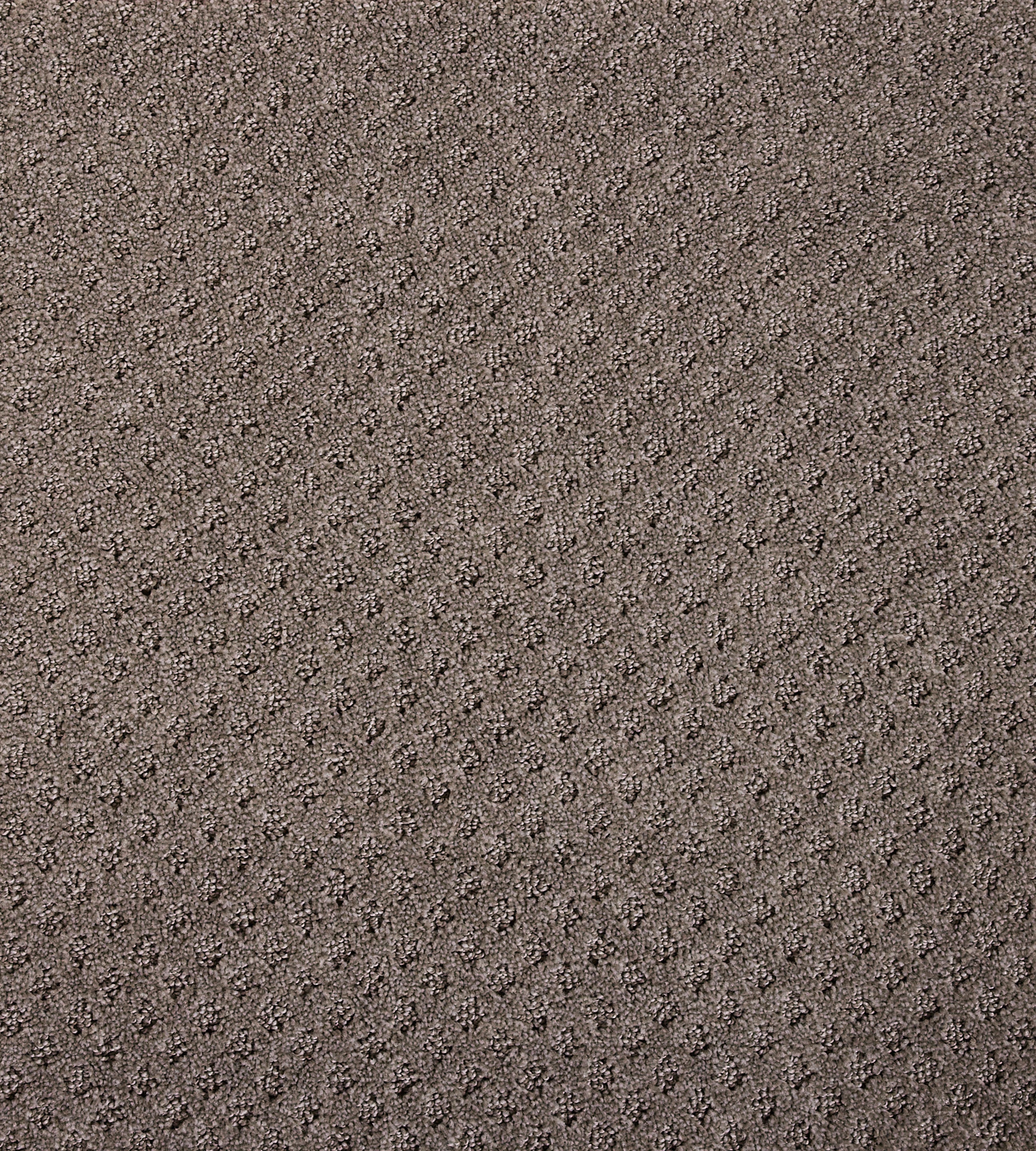 Bayside Charm - Sample