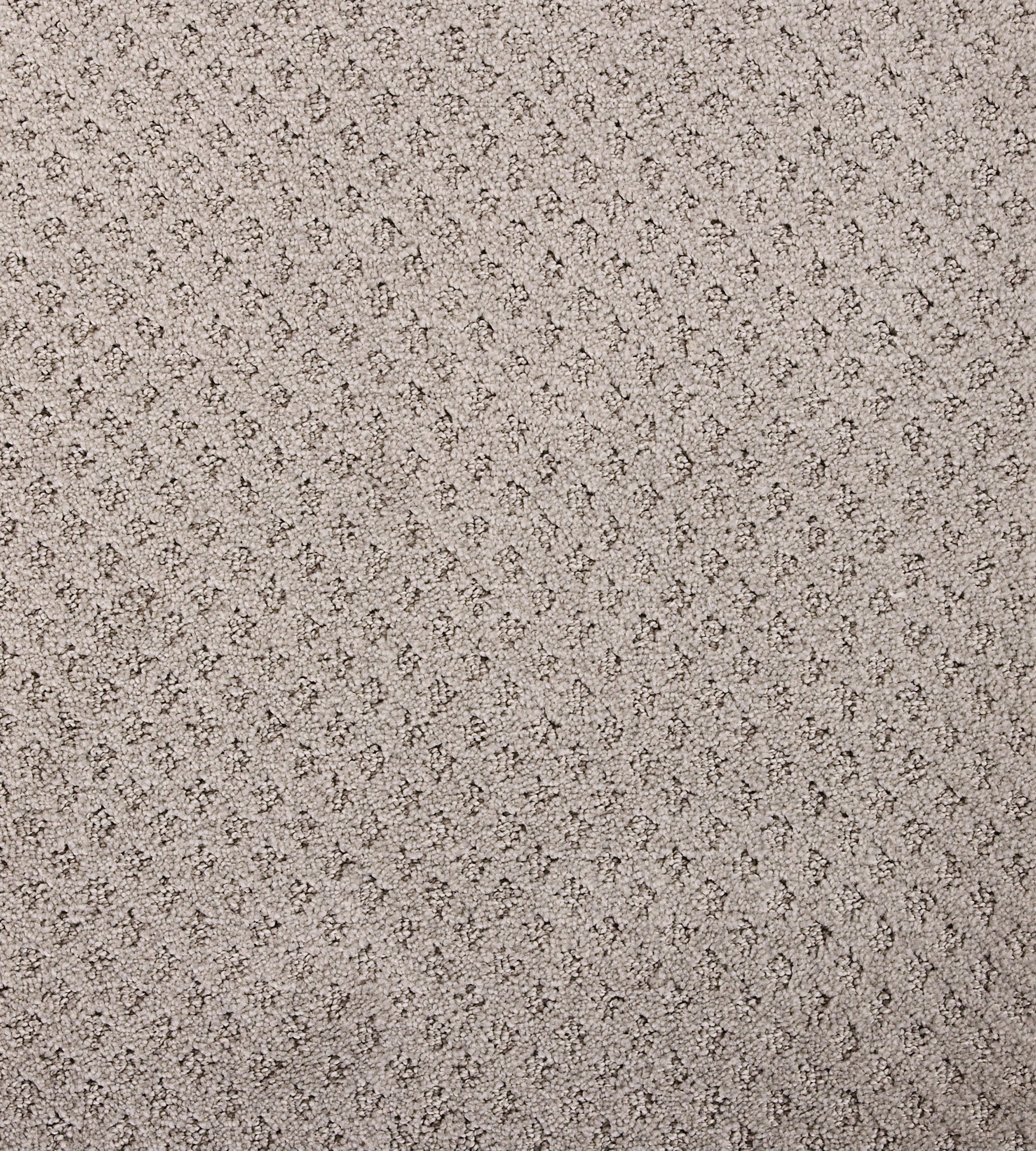 Bayside Charm - Sample