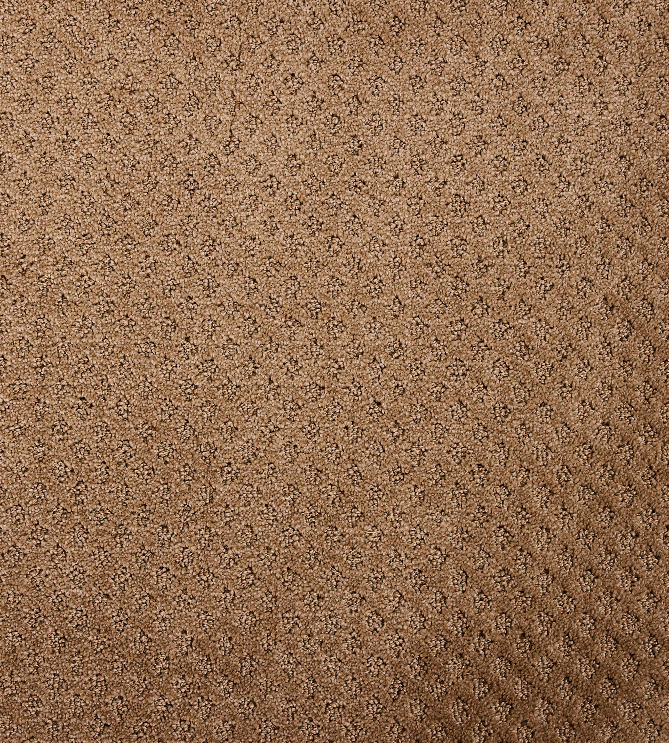 Bayside Charm - Sample