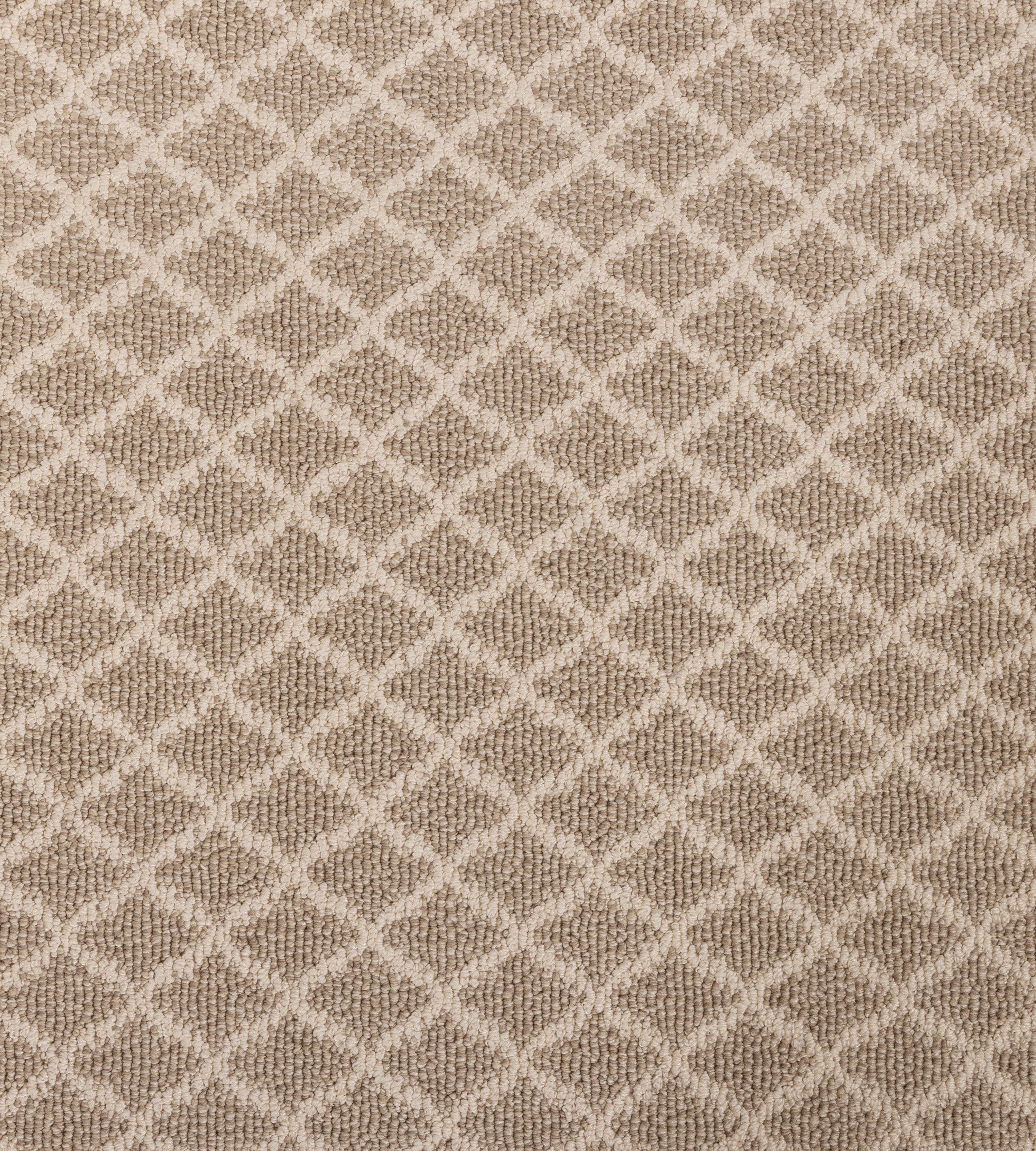 SpingerPointe_Swatch_Almond