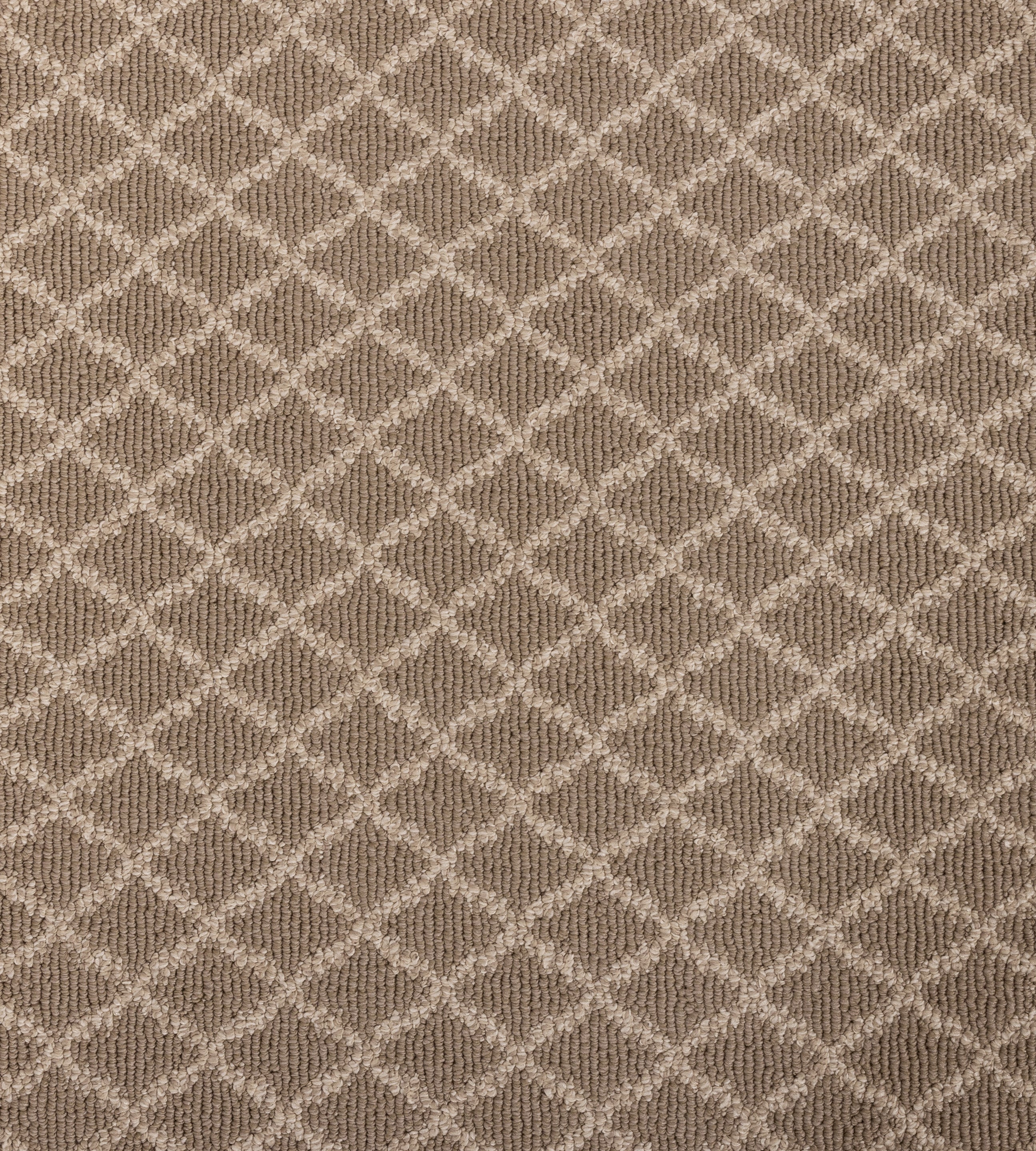 Springers Point - Sample