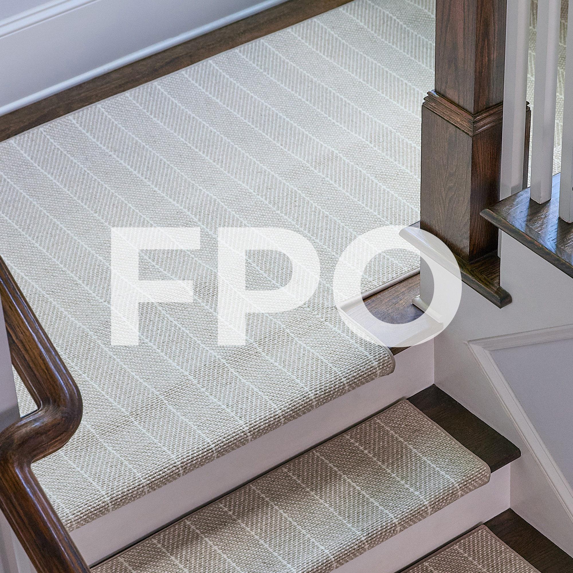 Shape Option 4 Preview