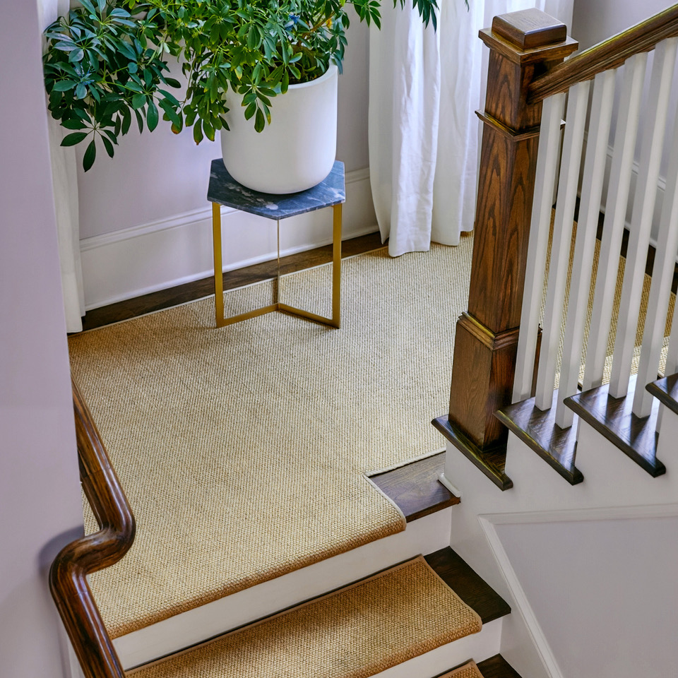 Shape Option 2 Preview