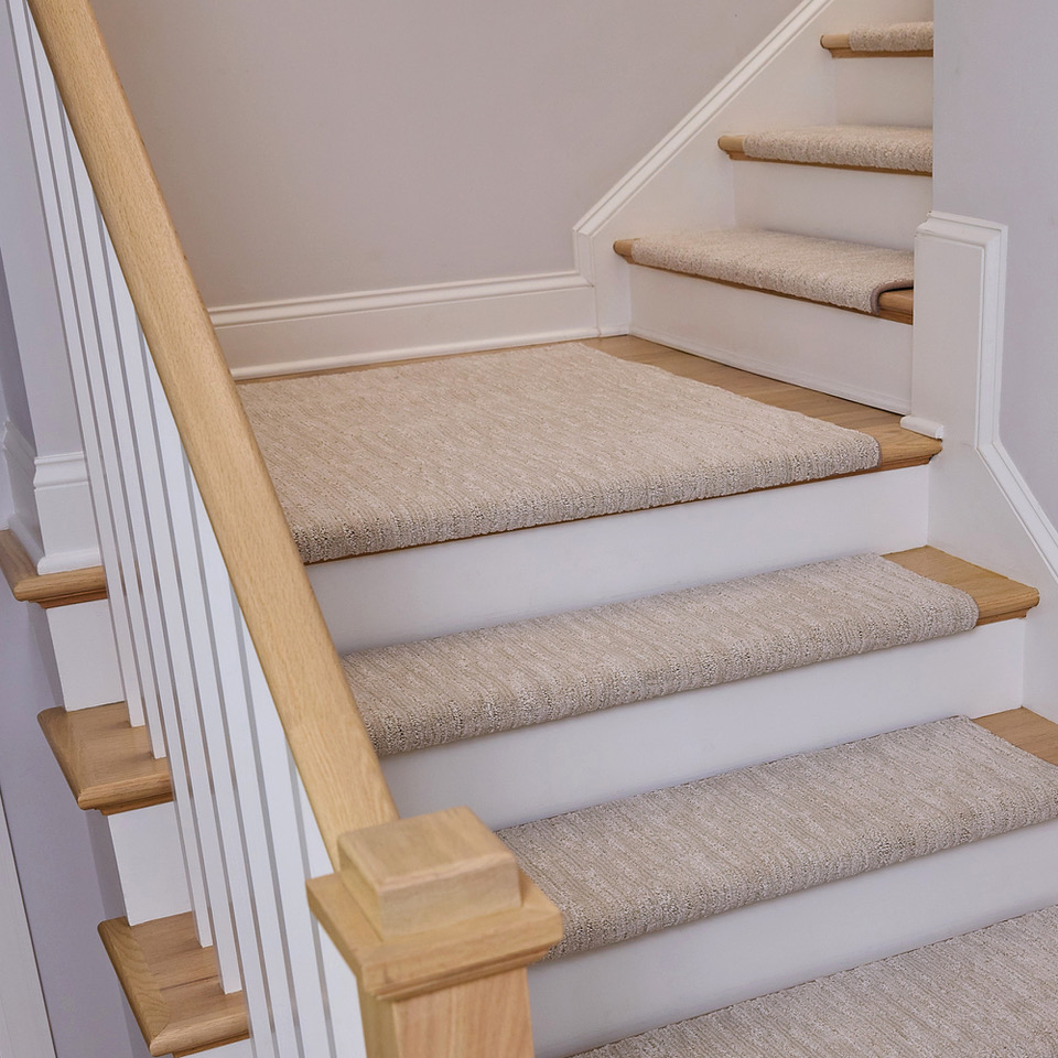 Shape Option 1 Preview